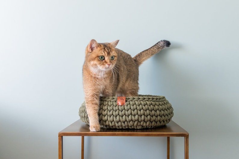 Un chat debout sur un panier chat en coton recyclé de Oscar et Plume sur une table en bois