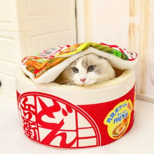 panier chat nouilles japonaises