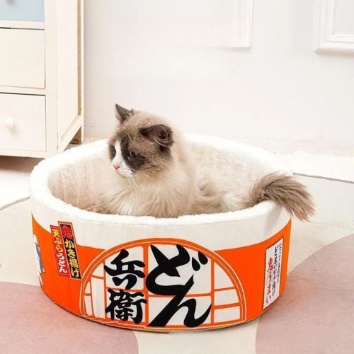 panier chat nouilles japonaises
