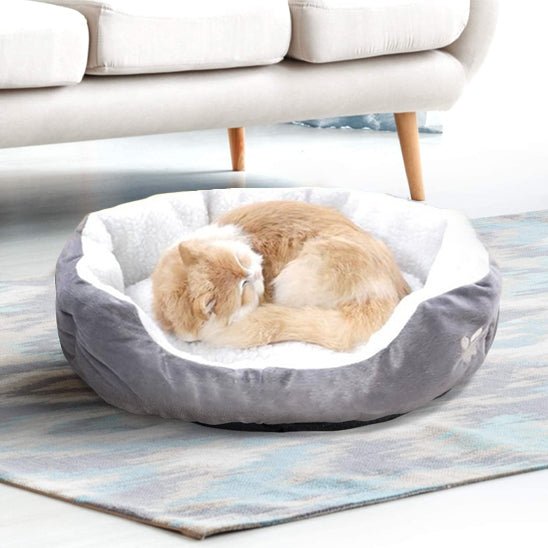 panier chat patte