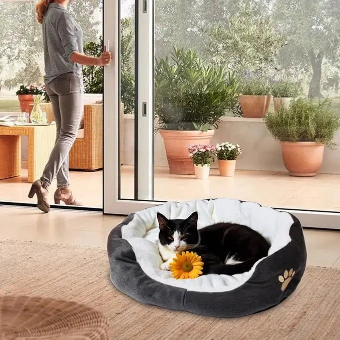 panier chat patte