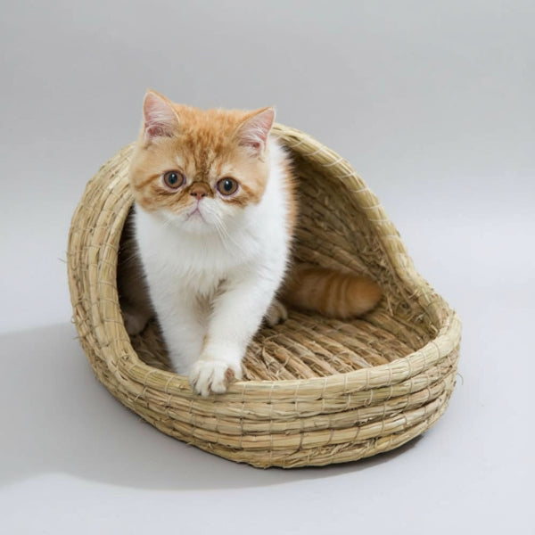 Panier en Osier pour Chat - Confort Naturel et Design