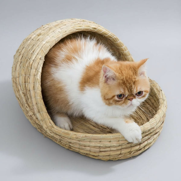 Panier en Osier pour Chat - Confort Naturel et Design