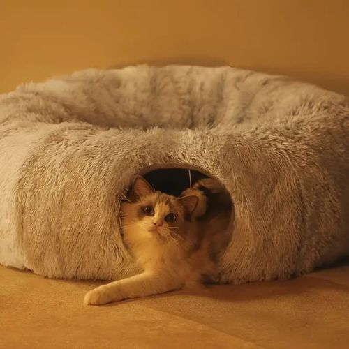 tunnel pour chat | DODOTUNNEL