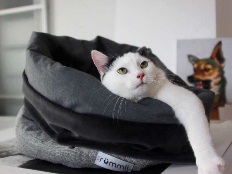 Panier Chat Velours Pour Confort Ultime