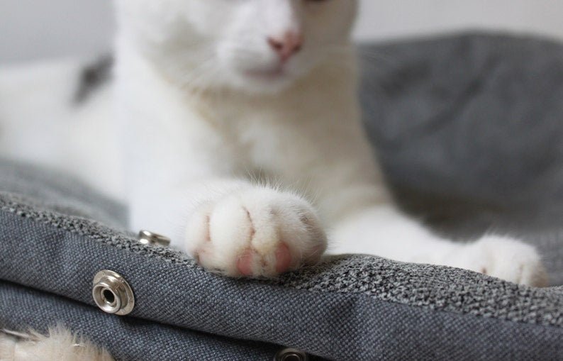 Panier Chat Velours Pour Confort Ultime