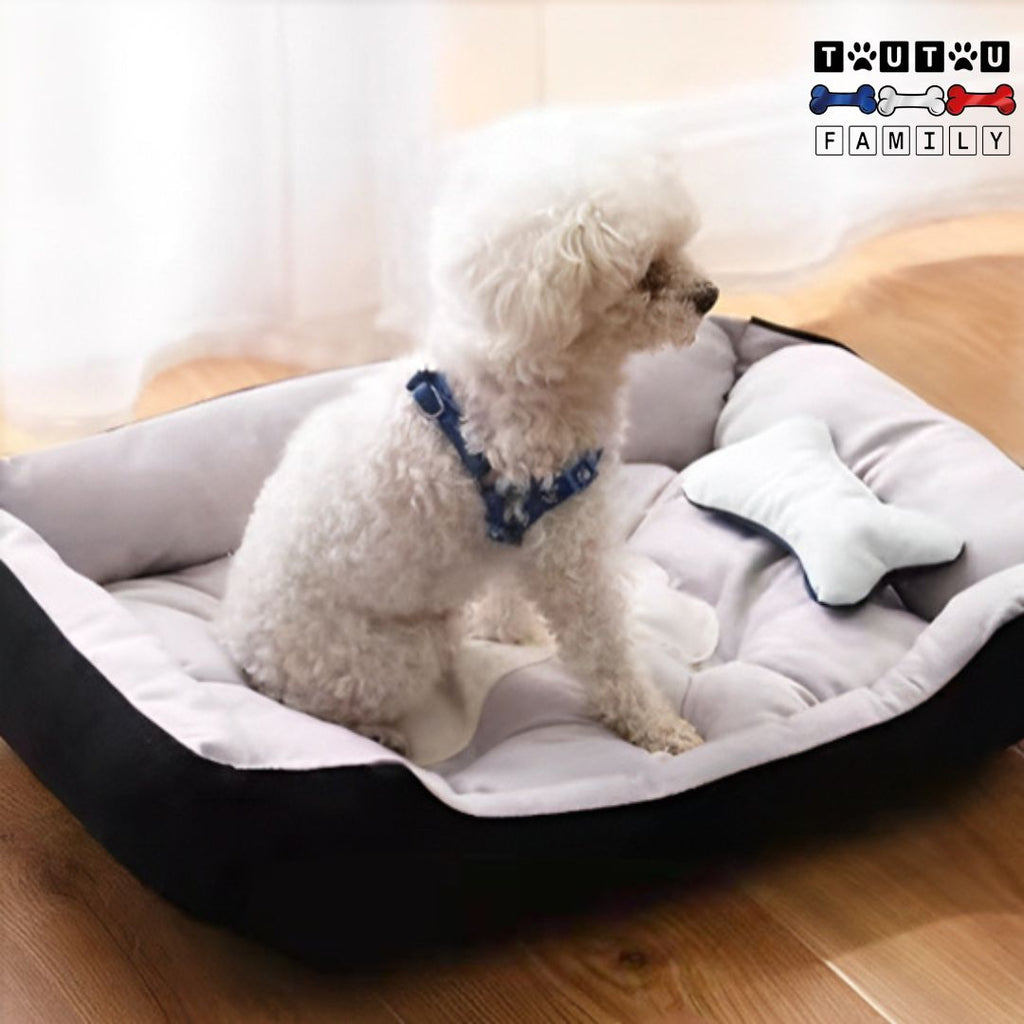 Panier chien design - ChicToutou™