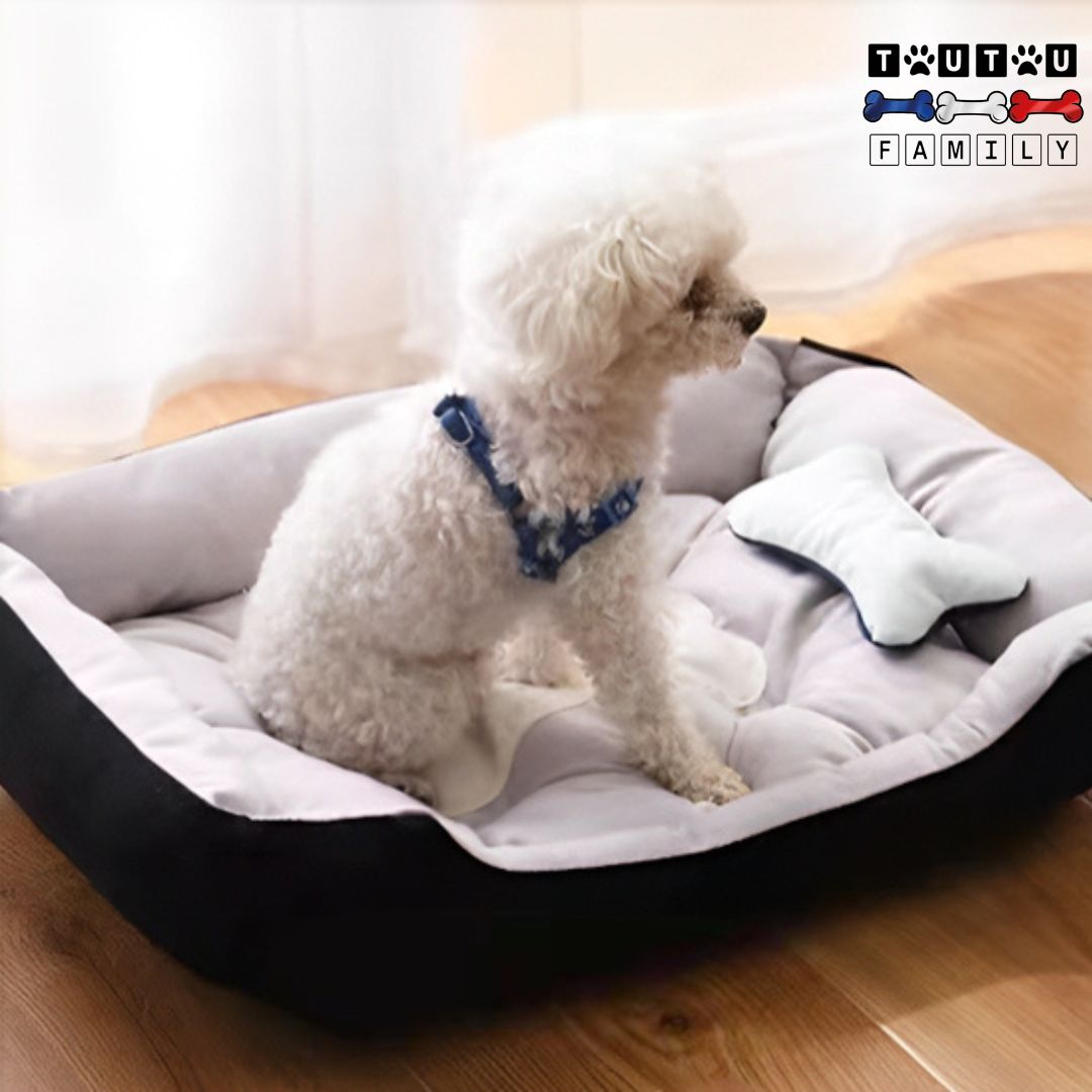 Panier chien design - ChicToutou™