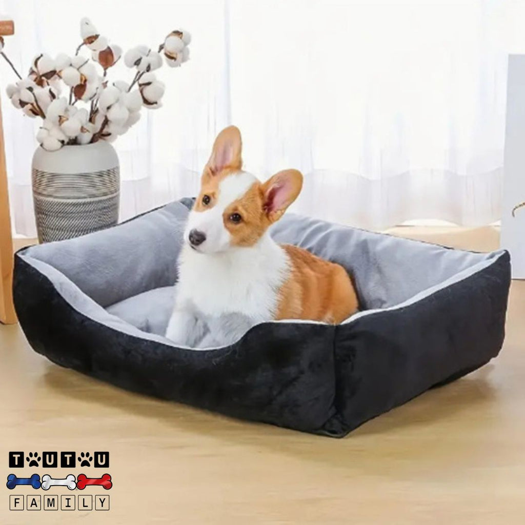 Panier chien design - ChicToutou™