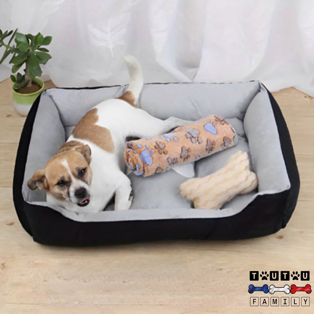Panier chien design - ChicToutou™