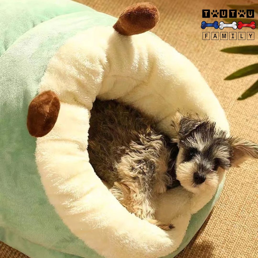 Panier chien lavable - NicheToutou™