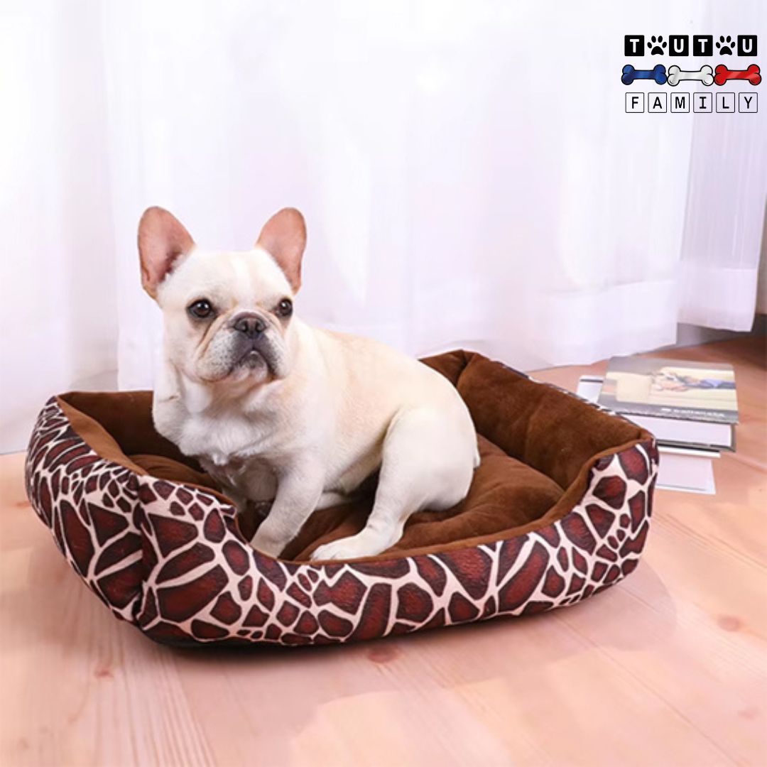 Panier chien - MoelleuxToutou™