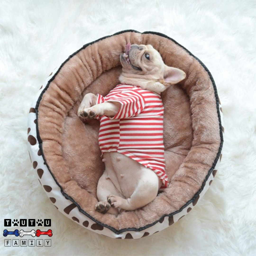 Panier chien - PetitToutou™