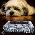 Panier-chien-imprime-chiot-bleu-pour-chien-de-petite-à-moyenne-taille