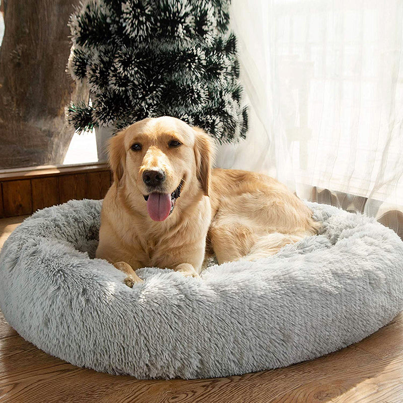 coussin-chien-xxl