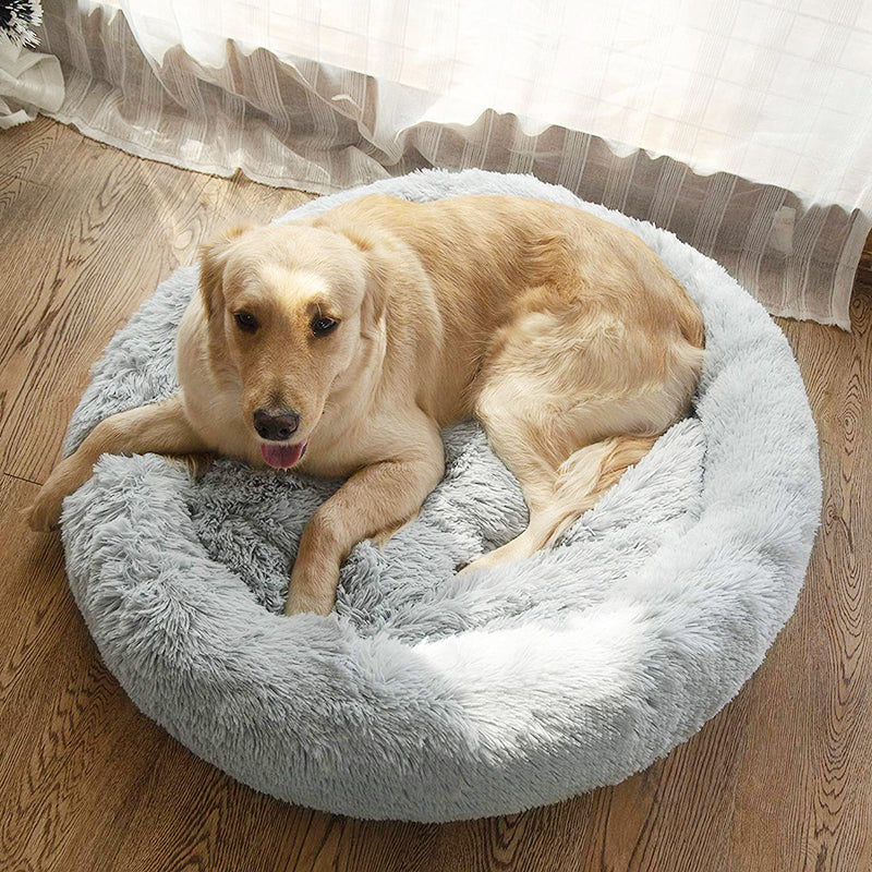Coussin Chien XXL | ConfortCaninXXL™