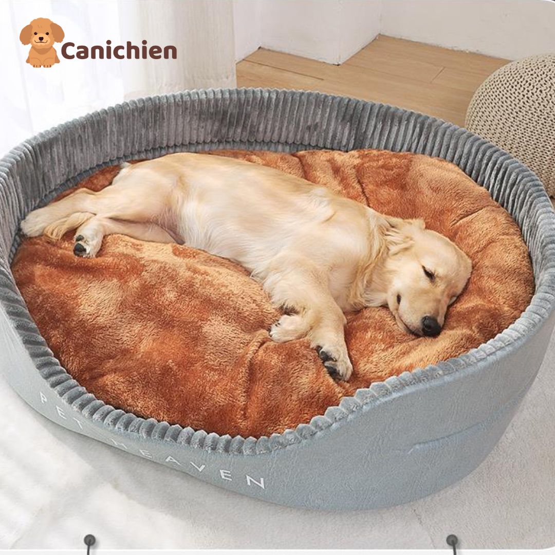 Panier chien xxl | WoofHaven™