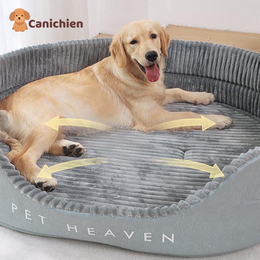 Panier chien xxl | WoofHaven™
