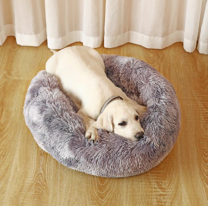 Coussin Chien XXL | ConfortCaninXXL™