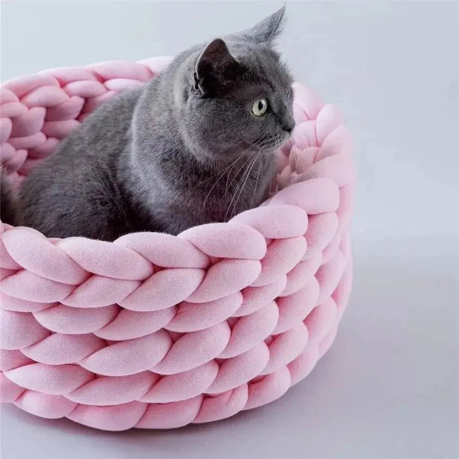 Chat gris assis dans un panier design pour chat rose tressé et moelleux