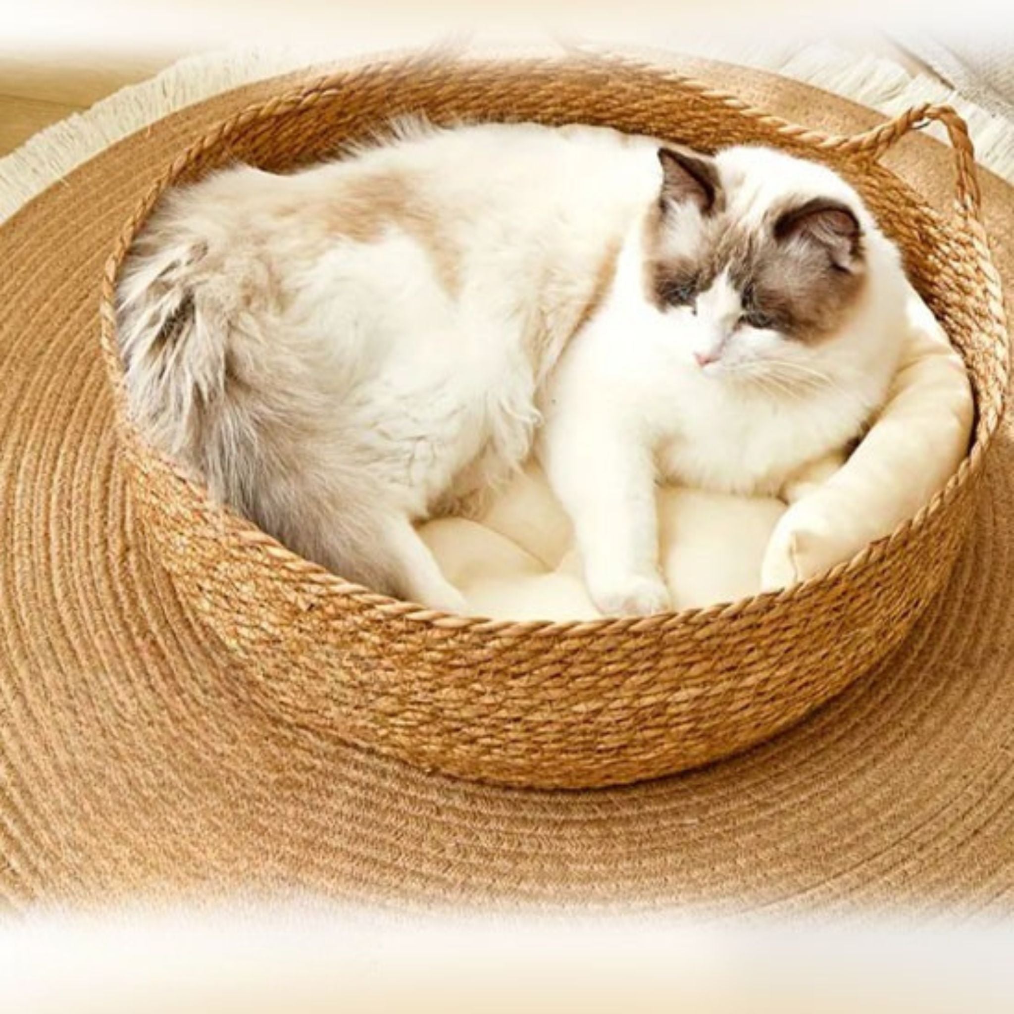 panier en osier pour chat | WICKER NEST