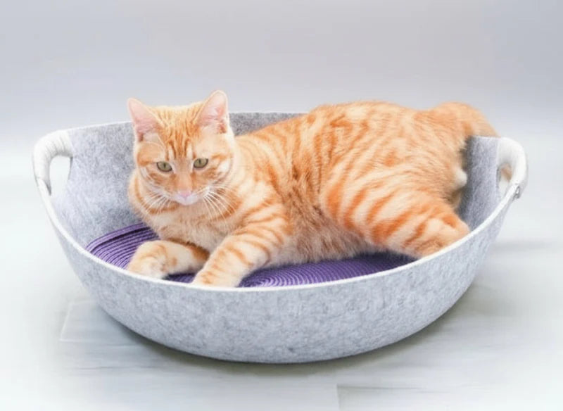 Chat roux allongé dans un panier feutre lavable pour chat gris avec poignées