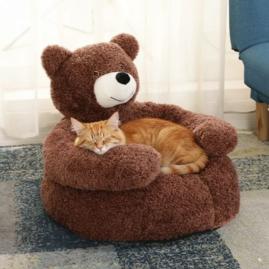 panier original chat ours