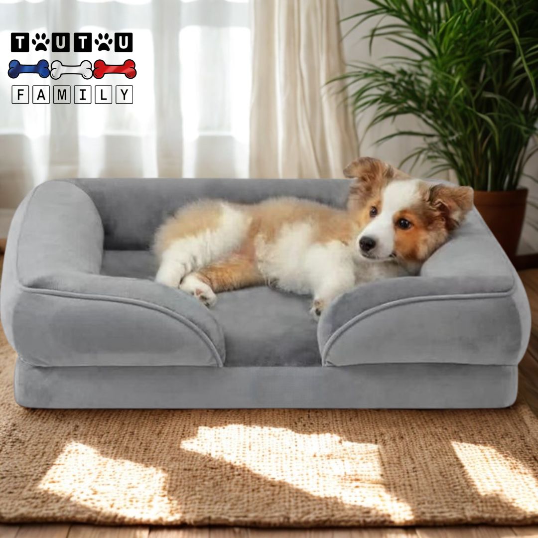Panier orthopédique chien - CanapéToutou™