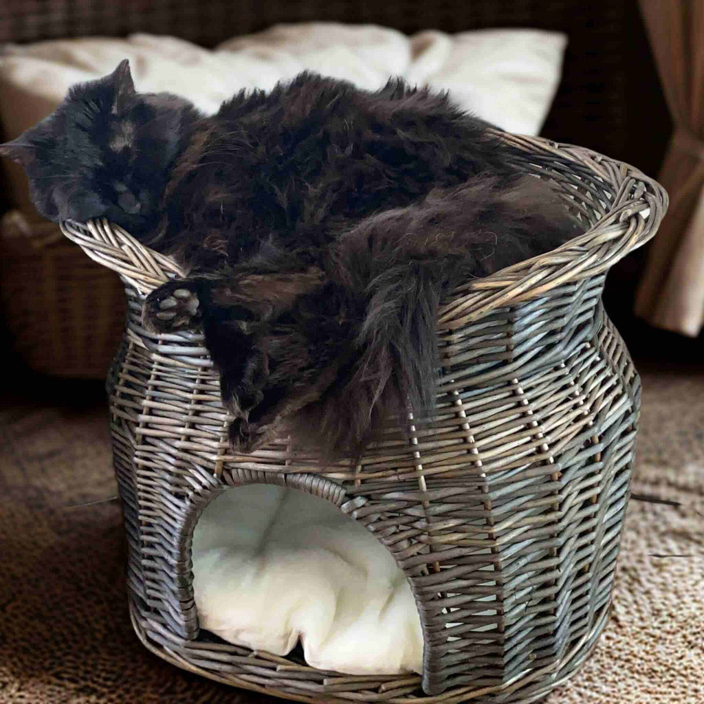 panier osier chat  | Rêve en Osier