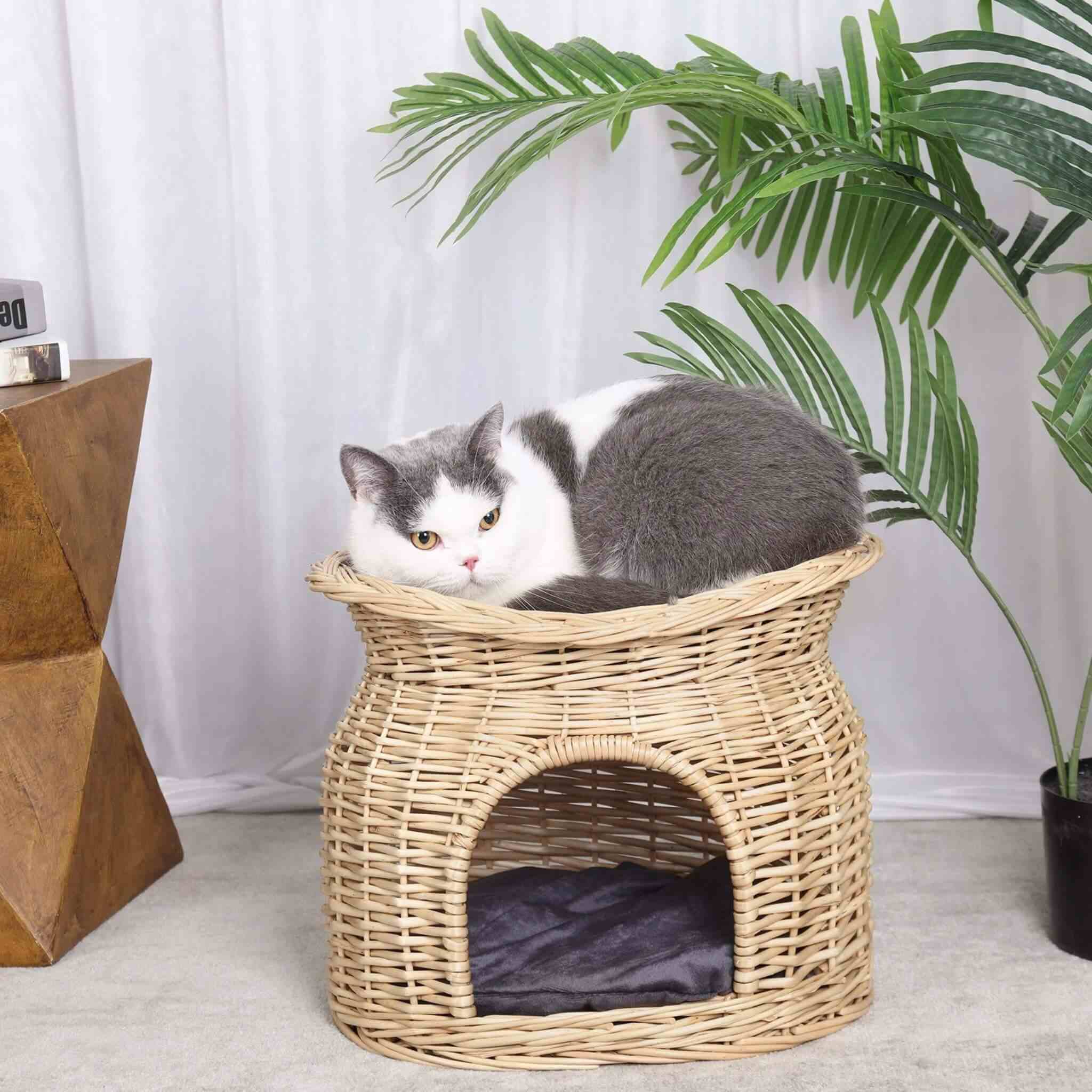 panier osier chat  | Rêve en Osier