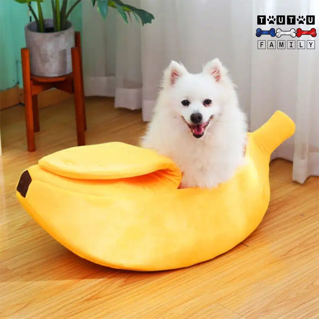 Panier petit chien - BananeToutou™