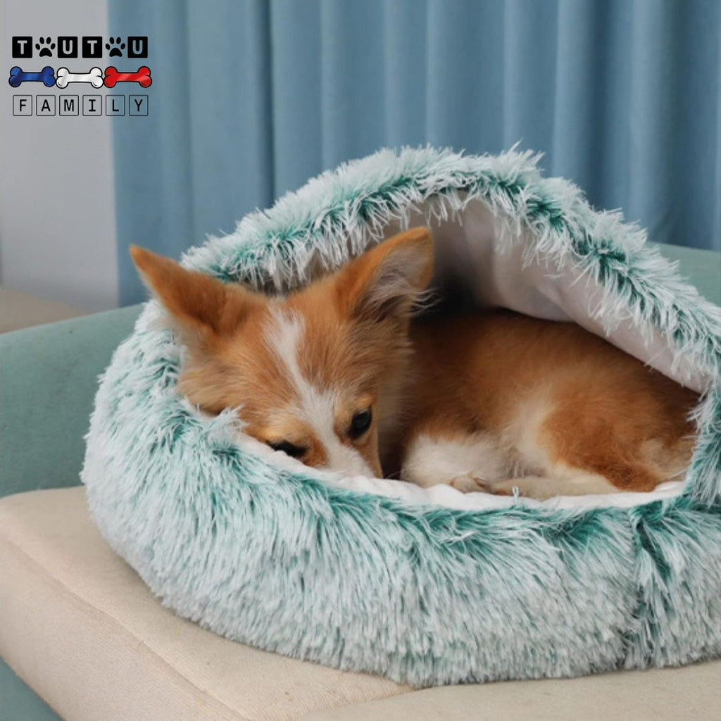 Panier petit chien - CocooningToutou™