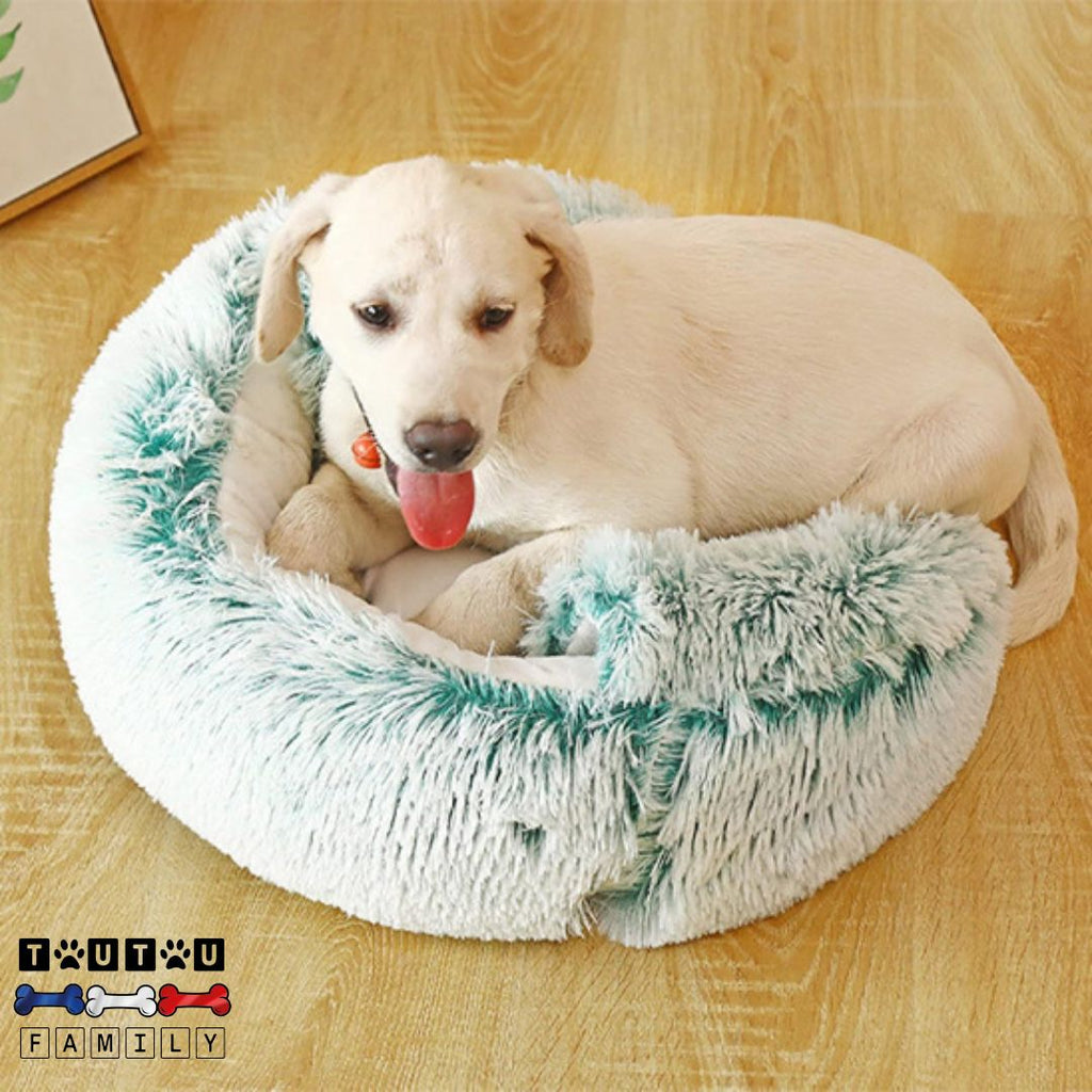 Panier petit chien - CocooningToutou™