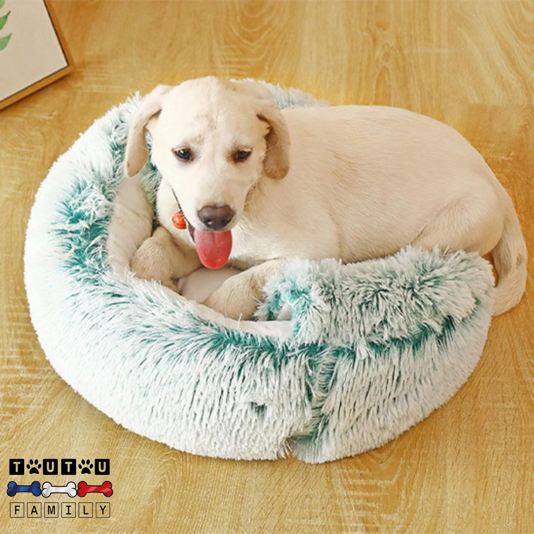 Panier petit chien - CocooningToutou™