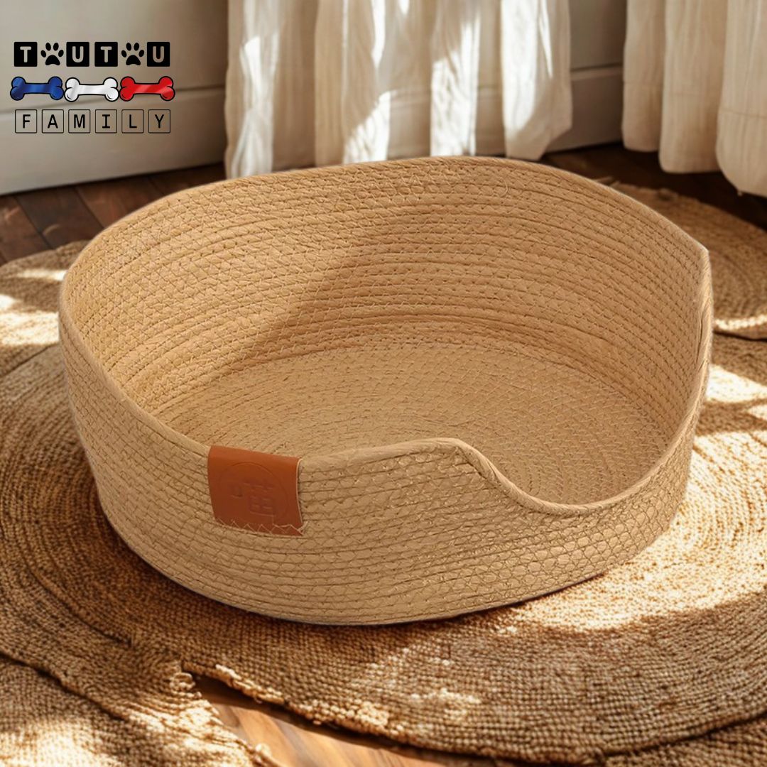 Panier-petit-chien-osier-résistant-tissé-à-la-main-fabrication-artisanale-écologique-écoresponsable