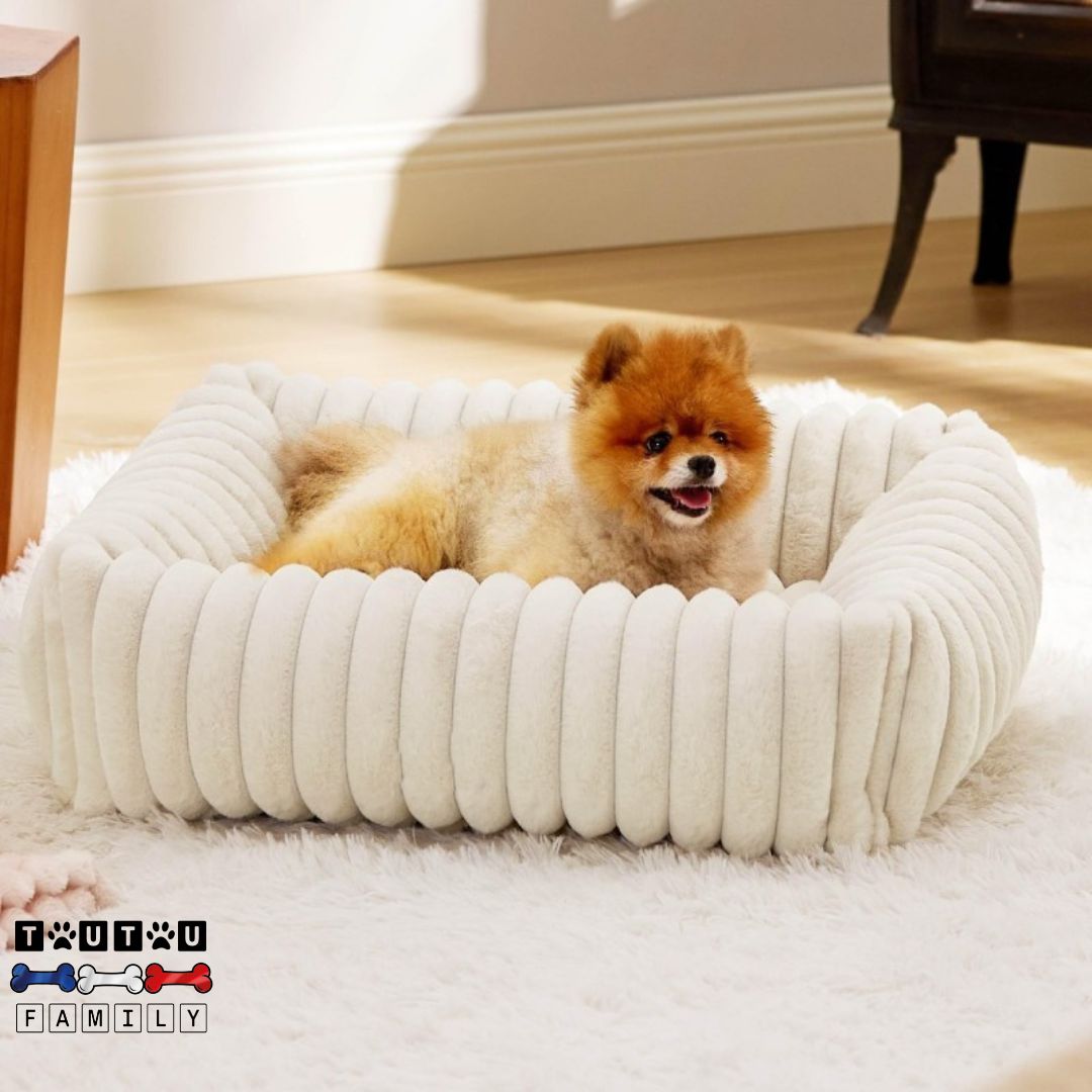 panier-petit-chien-lit-avec-rebord-360°-un-petit-chien-couché-dans-son-panier-moelleux-et-confortable-chaud-et-sécurisant-de-couleur-crème-sur-le-tapis-blanc-du-salon