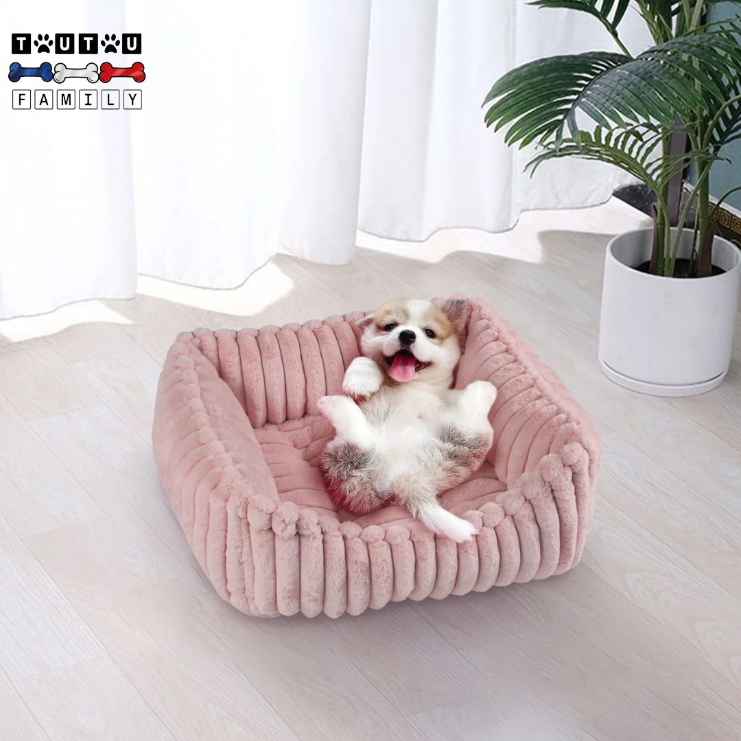 Panier petit chien - VeloursToutou™