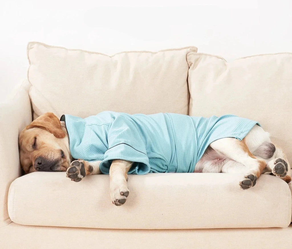Peignoir Confortable Et Résistant Pour Chien