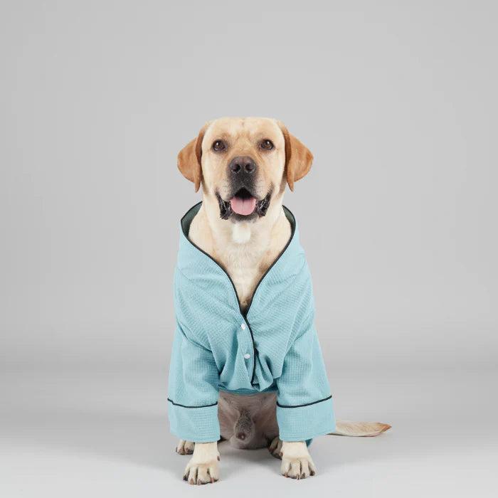 Peignoir Confortable Et Résistant Pour Chien