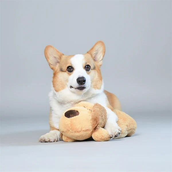 Jouet Peluche Apaisante Pour Chien