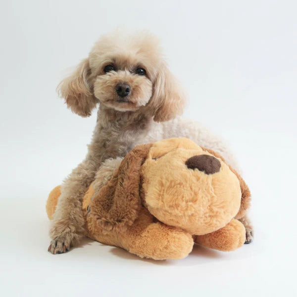 Jouet Peluche Apaisante Pour Chien