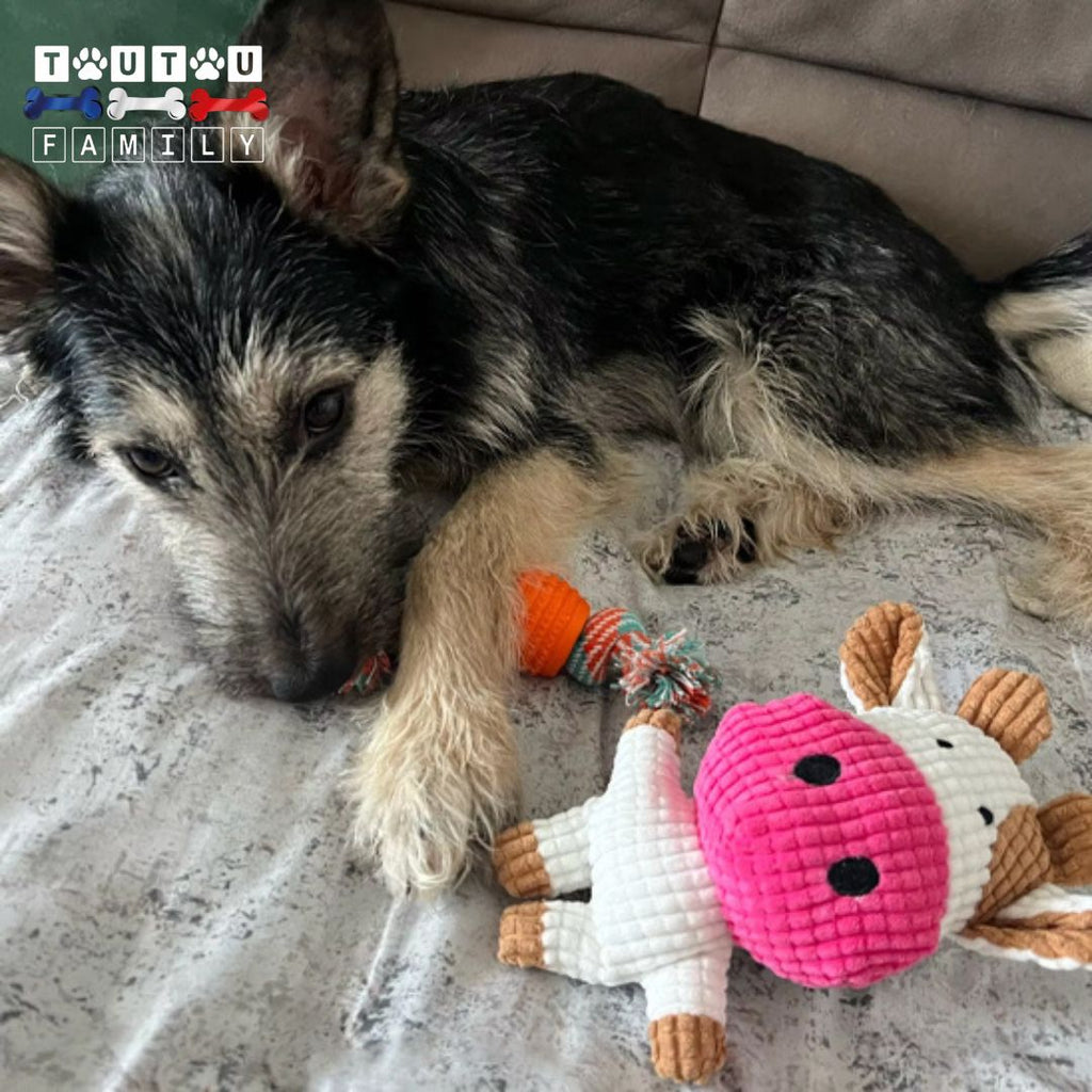 Peluche chien - SonoreToutou™