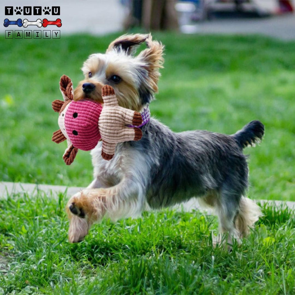 Peluche chien - SonoreToutou™