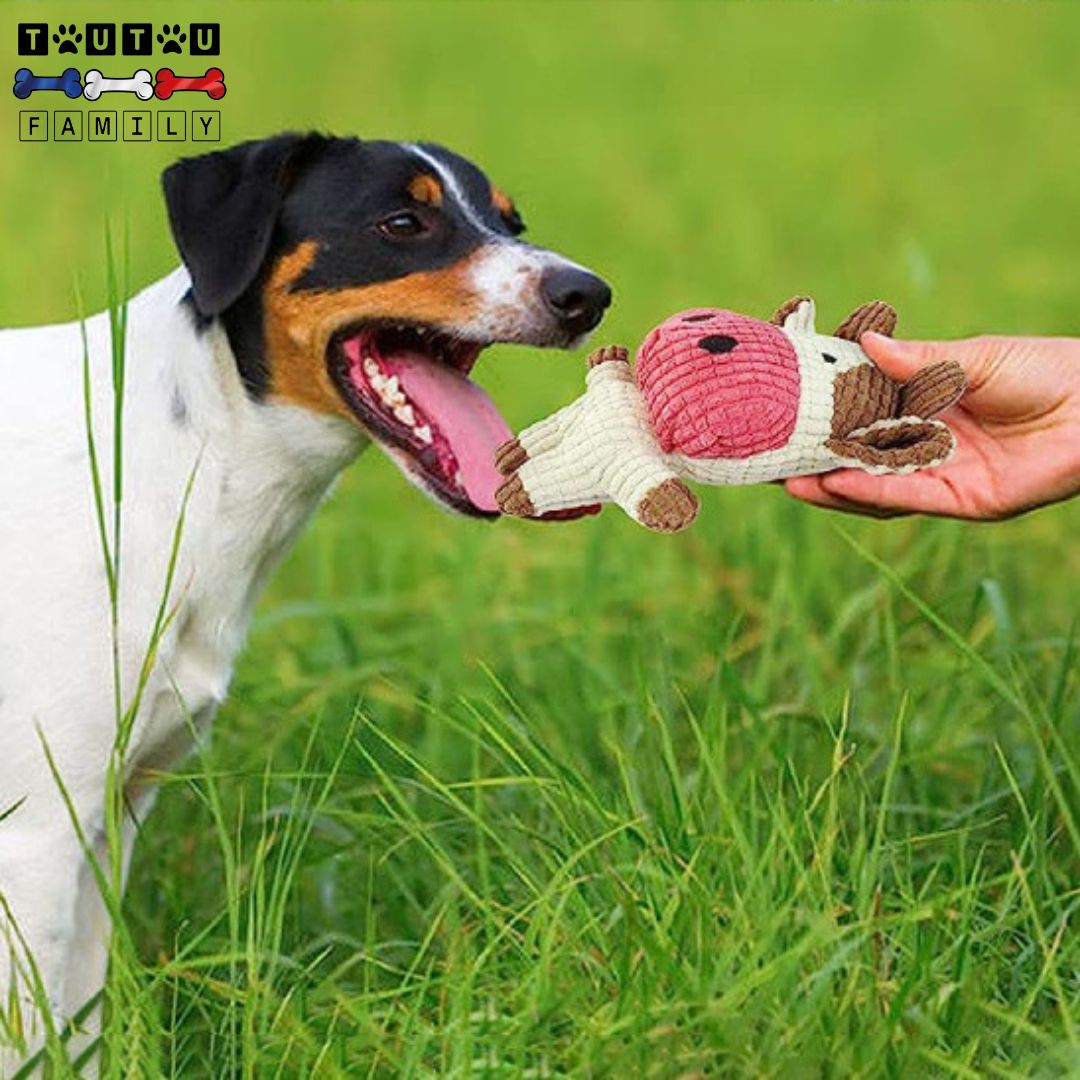 Peluche chien - SonoreToutou™