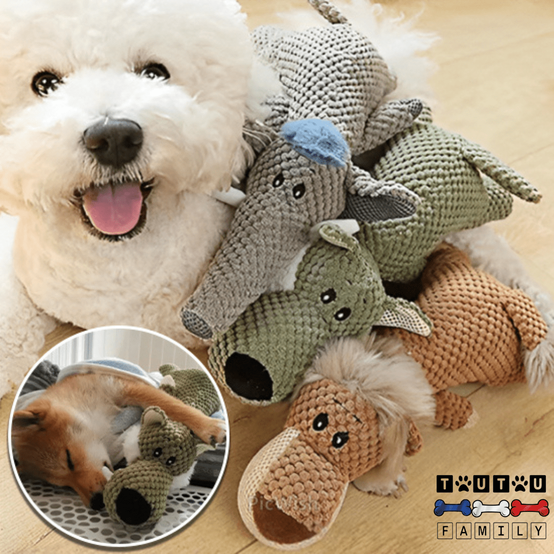Peluche pour chien - AnimalToutou™