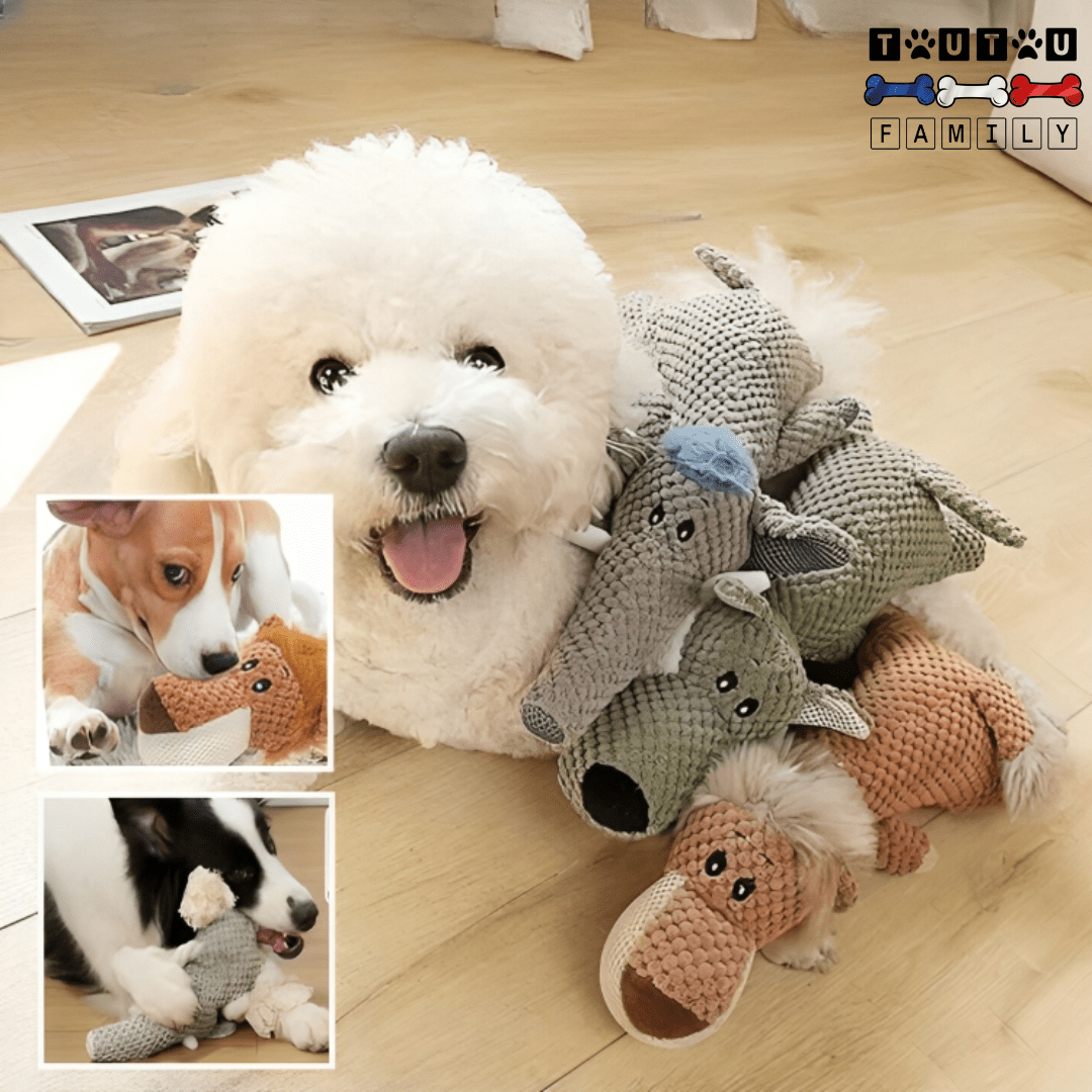 Peluche pour chien - AnimalToutou™