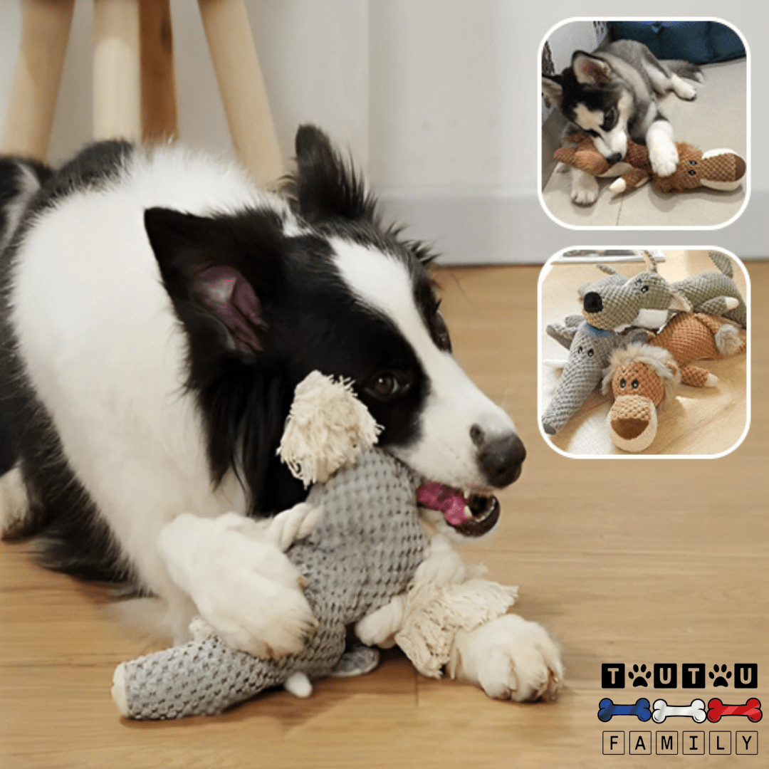 Peluche pour chien - AnimalToutou™