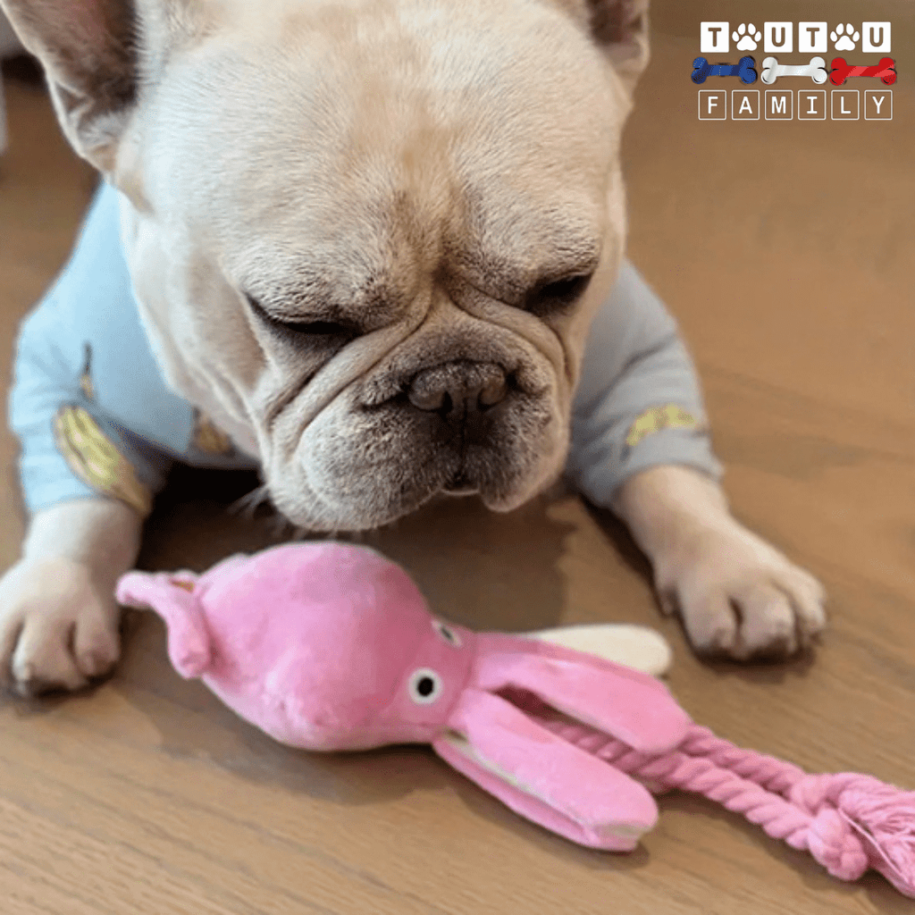 Peluche pour chien - CalamarToutou™