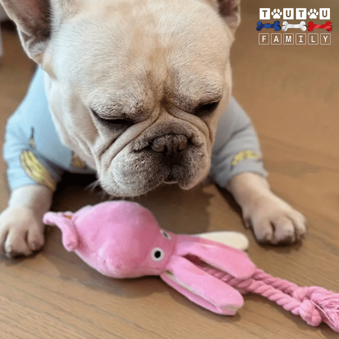 Peluche pour chien - CalamarToutou™