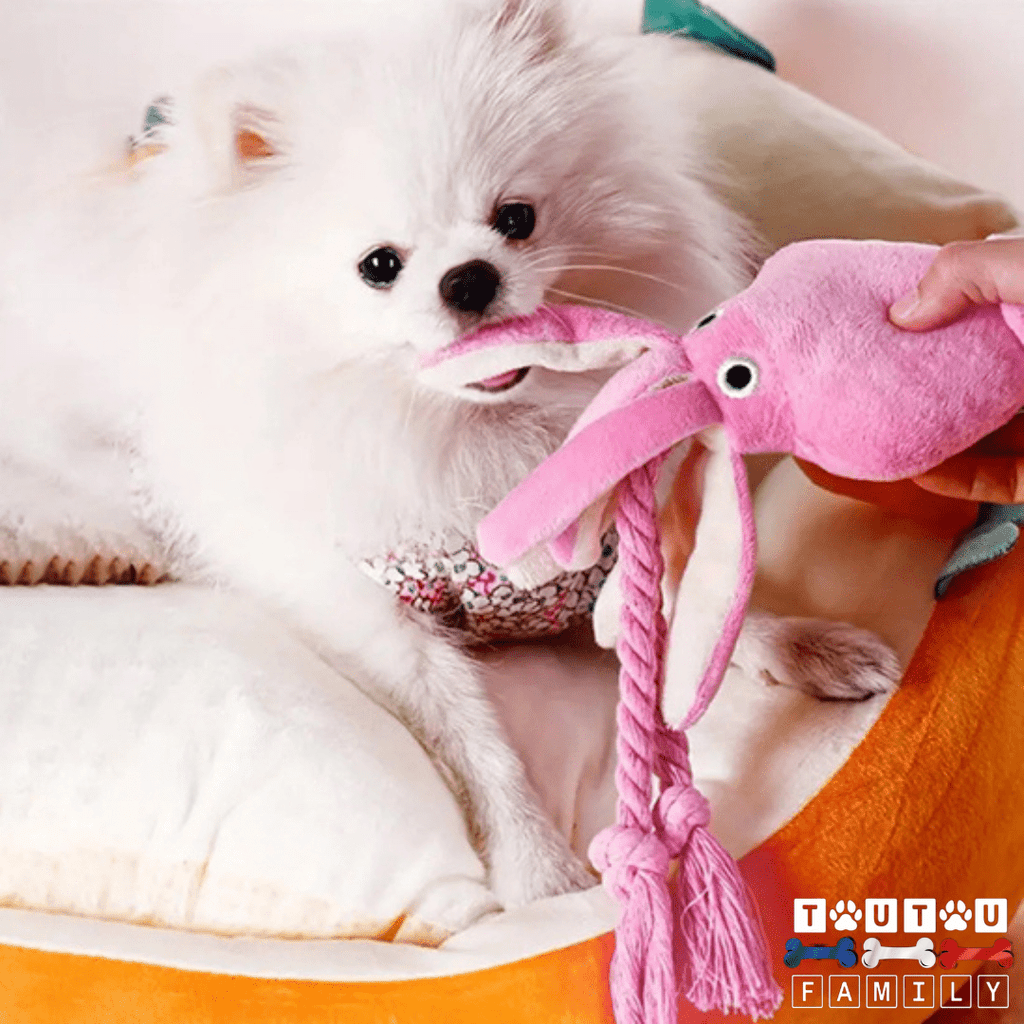 Peluche pour chien - CalamarToutou™